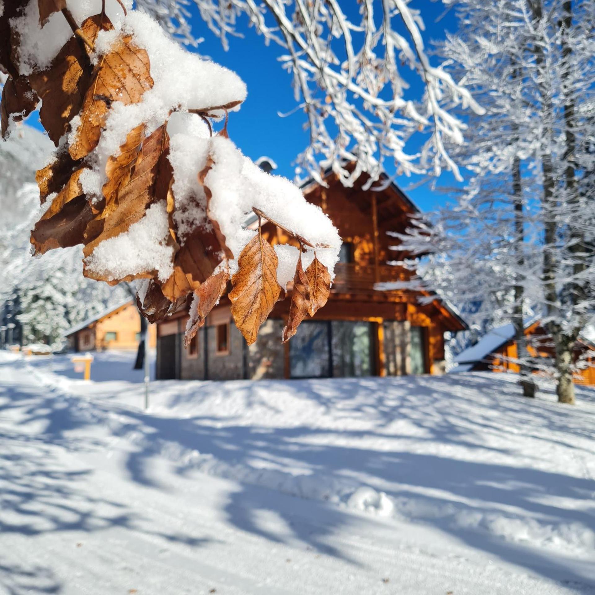 Kile Alpine Resort Valbruna Bagian luar foto
